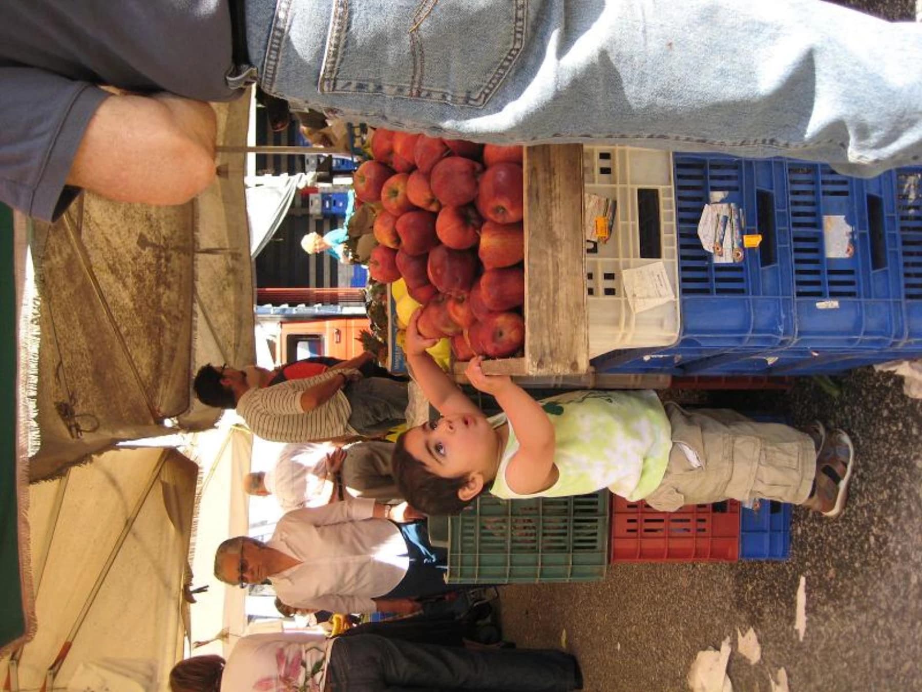 Child grabbing an apple at Testaccio Market