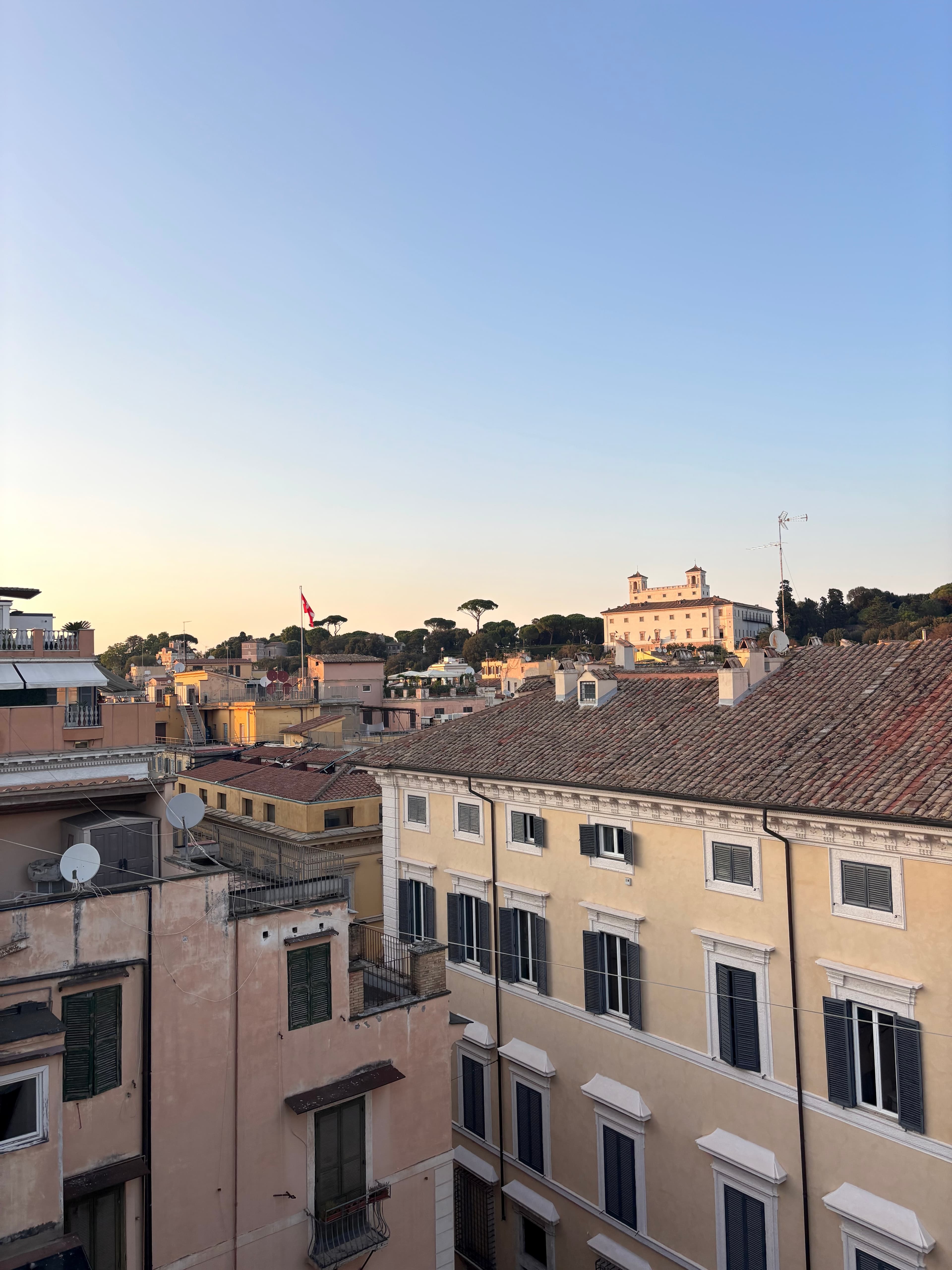 Rooftops at golden hour