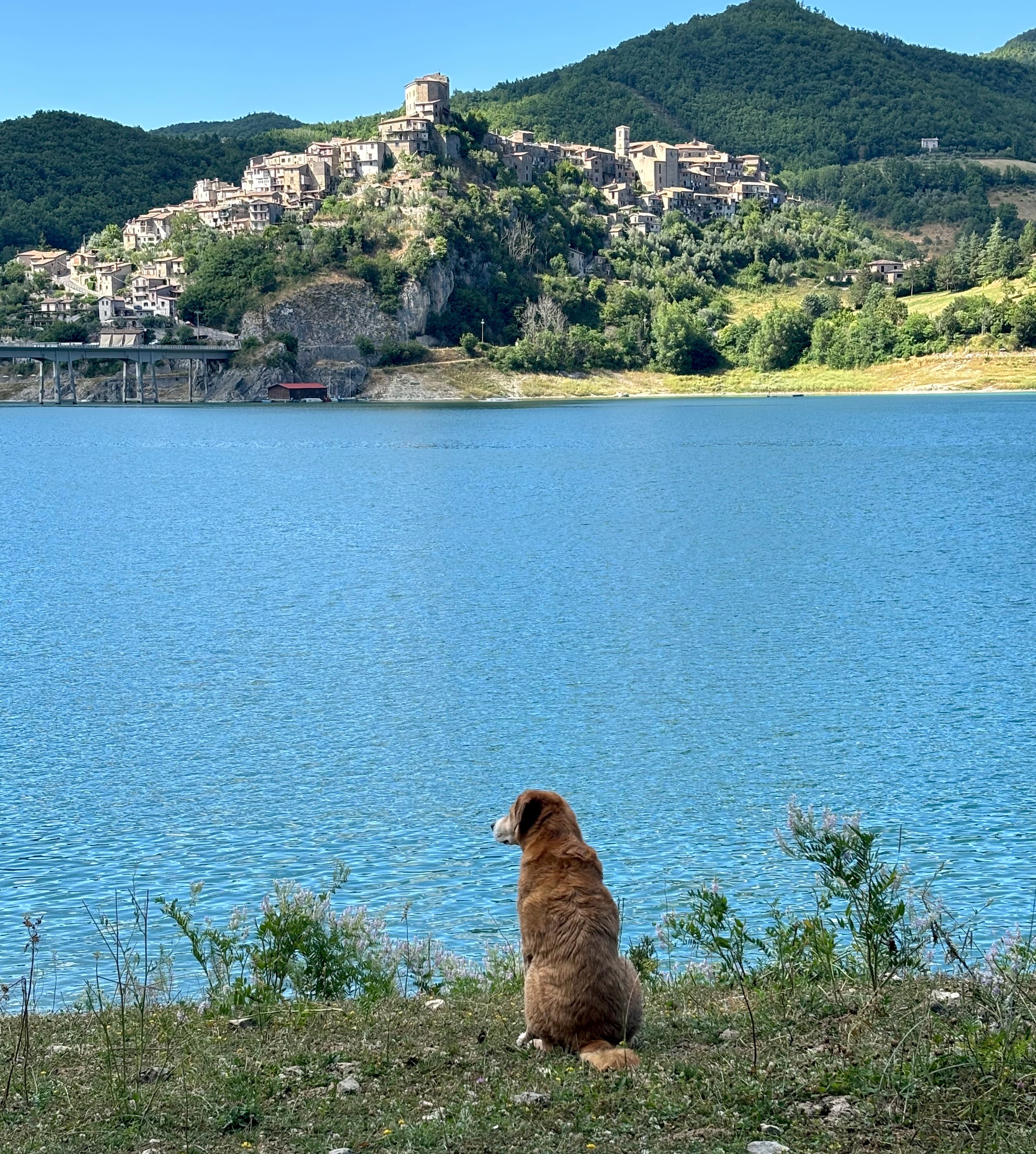 Lakeside