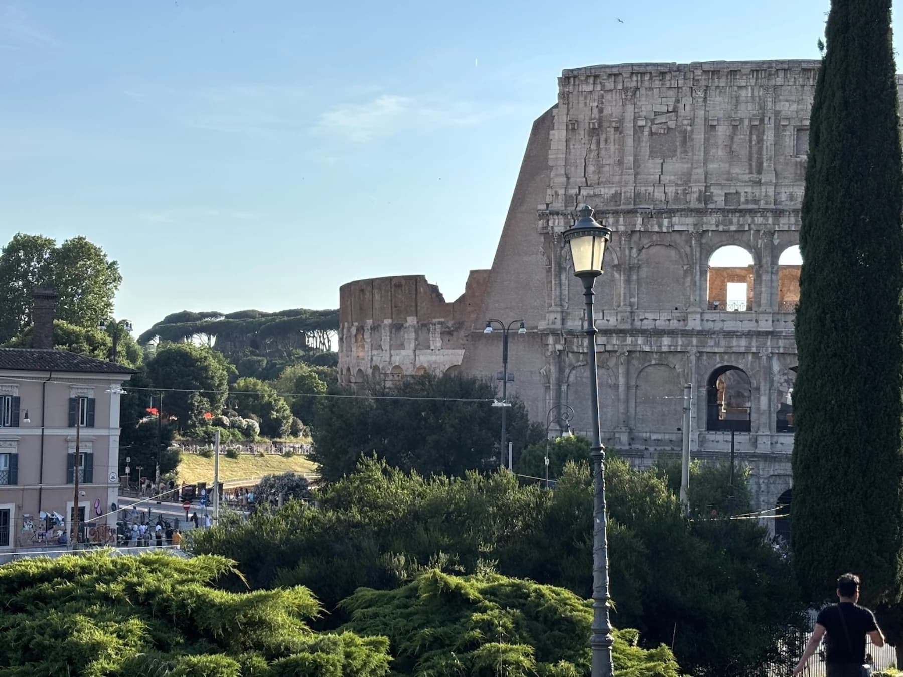 Elevated view of the Colosseum from the Oppian Hill