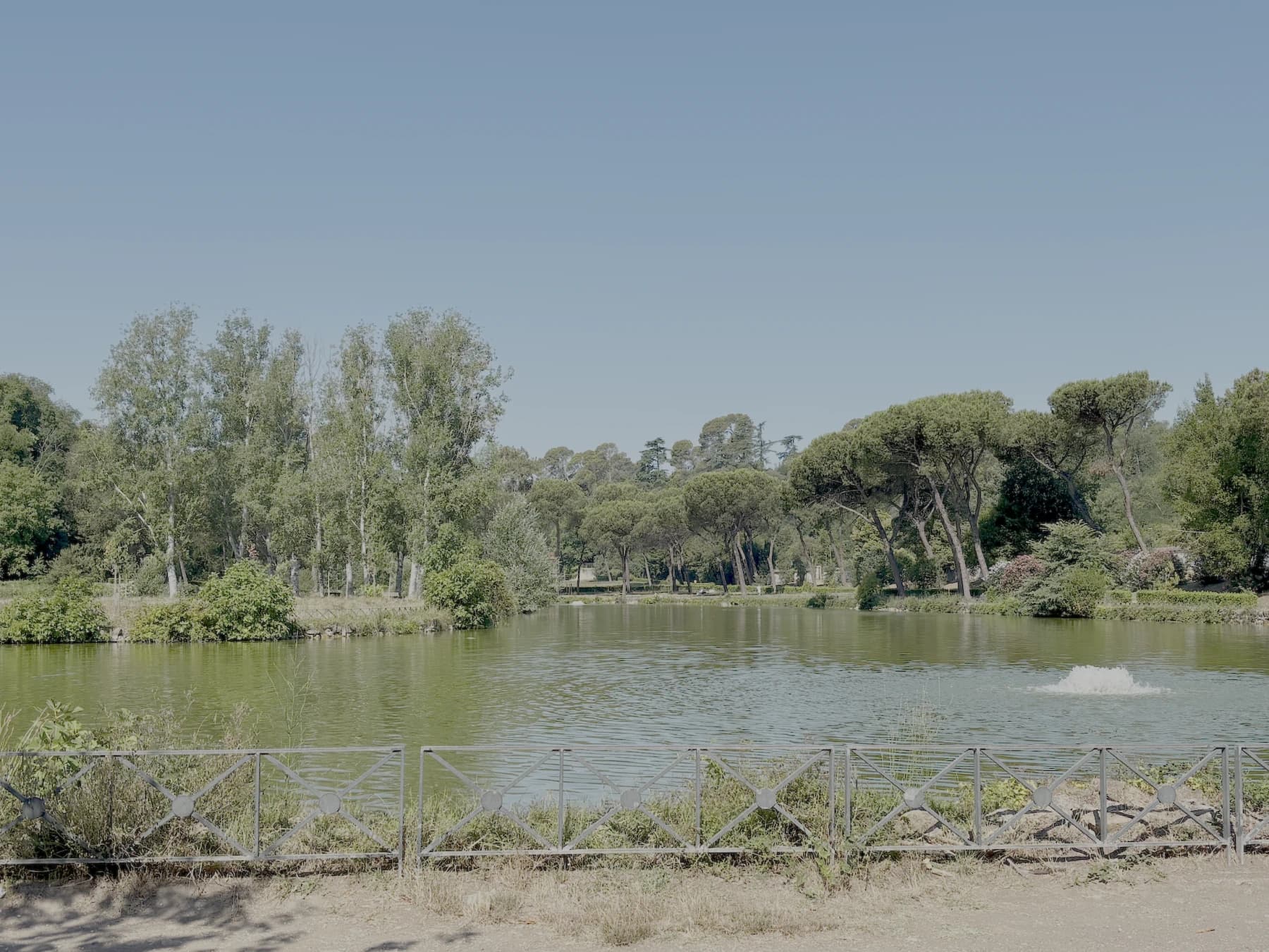 The lake at Villa Ada, lined with stone pines and poplars