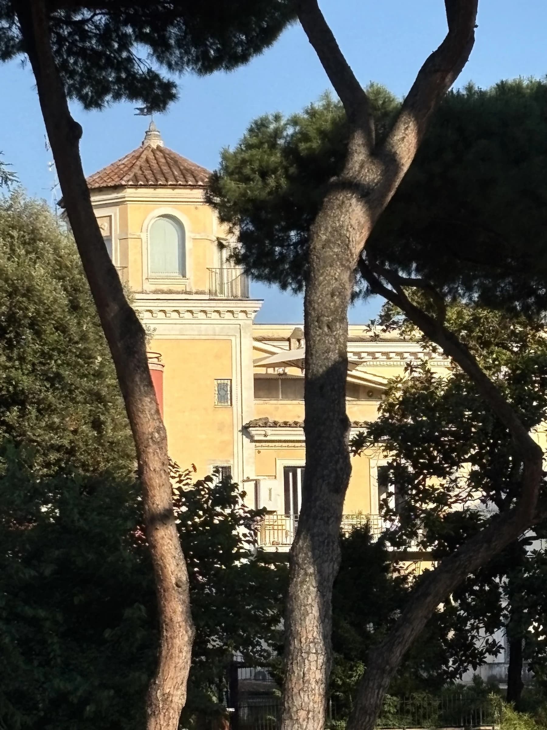 Villa and umbrella pines at Villa Doria Pamphilj