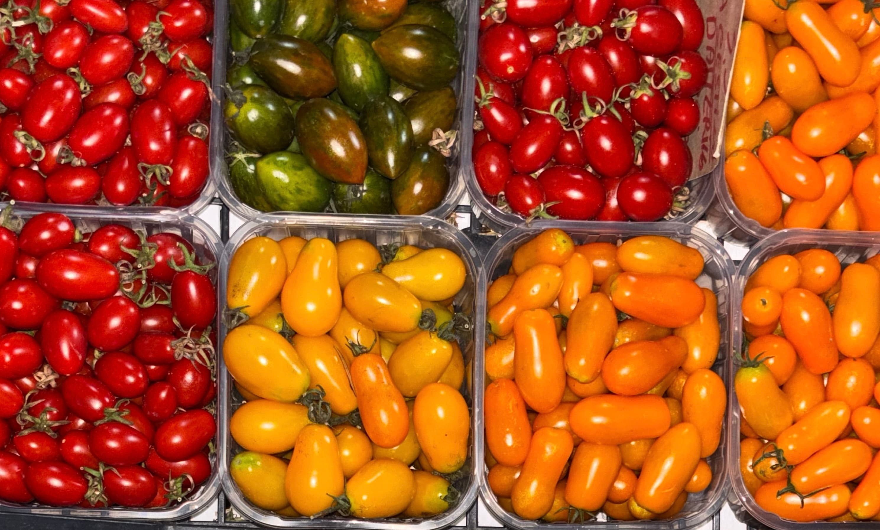 Market tomatoes in Rome